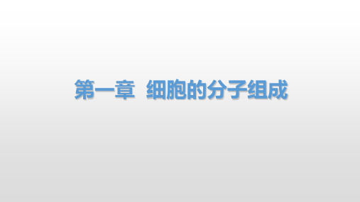 高中生物浙科版2019必修一公开课生物大分子以碳链为骨架