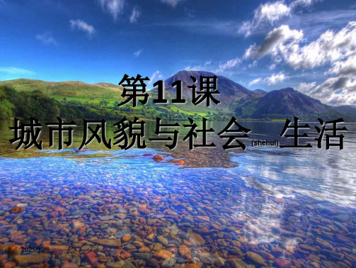 历史下册 第二单元 第13课 丰富多彩的社会生活课件