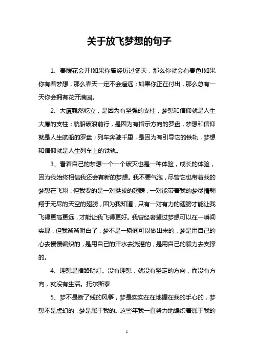 关于放飞梦想的句子