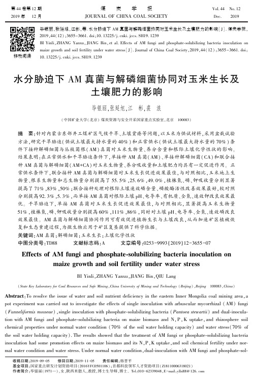 水分胁迫下am真菌与解磷细菌协同对玉米生长及土壤肥力的影响