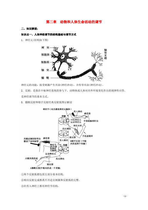 高中生物第二章动物和人体生命活动的调节期末知识梳理新人教版必修3