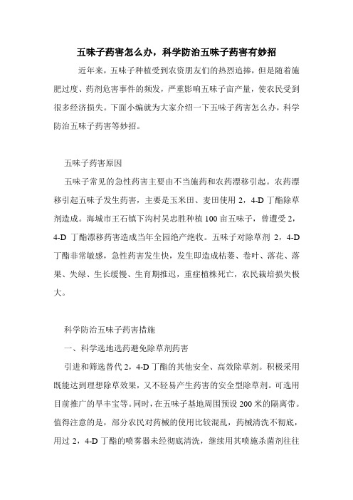 五味子药害怎么办,科学防治五味子药害有妙招