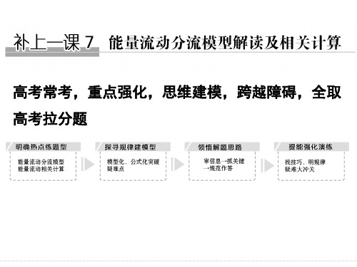 2018届高考生物总复习补上一课7_能量流动分流模型解读及相关计算课件 (共30张PPT)