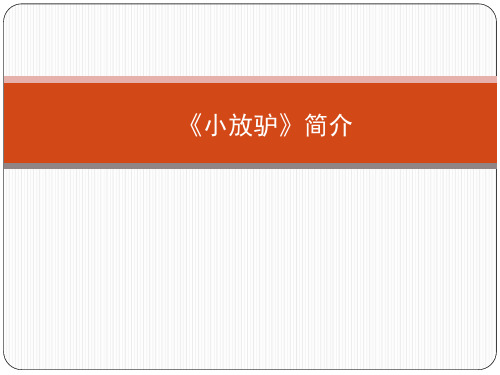 小放驴简介