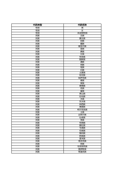 民族、身份、职务、级别等代码项目信息(在职)