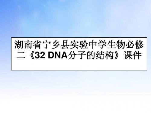 DNA分子的结构PPT(1)