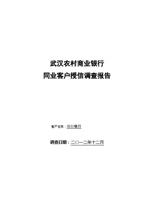 德阳银行授信调查报告