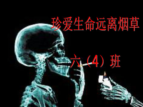 《珍爱生命远离烟草》主题班会课件