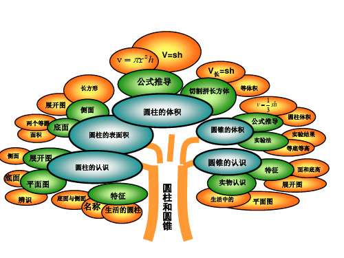 苏教版六年级数学下第二单元知识树