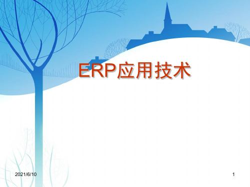 《ERP应用技术》PPT课件