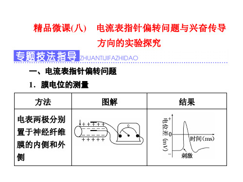 电流表指针偏转问题与兴奋传导方向的实验探究