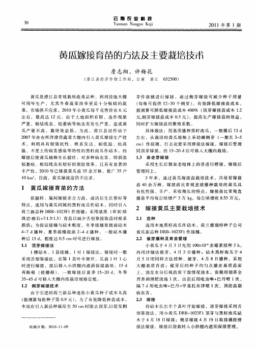 黄瓜嫁接育苗的方法及主要栽培技术