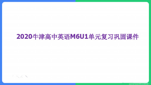 M6+Unit1+江苏牛津译林版高三英语复习巩固课件(共65张PPT)