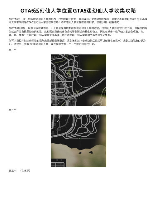 GTA5迷幻仙人掌位置GTA5迷幻仙人掌收集攻略