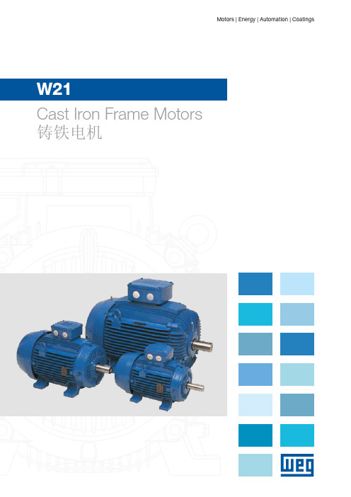 WEG电机W21样本 (2)