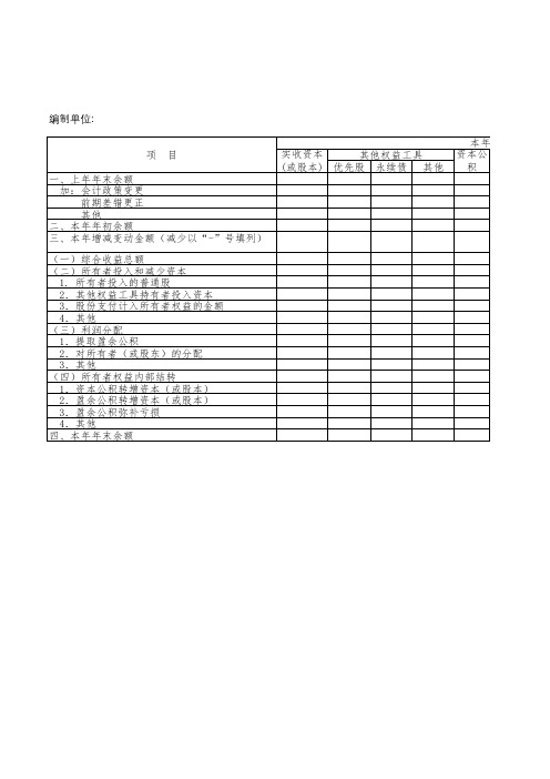 eXcel一般企业财务报表 所有者权益变动表