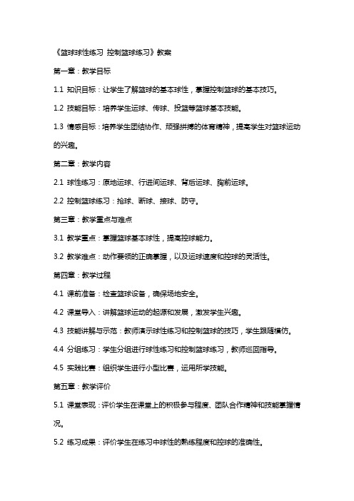 《篮球球性练习 控制篮球练习》教案