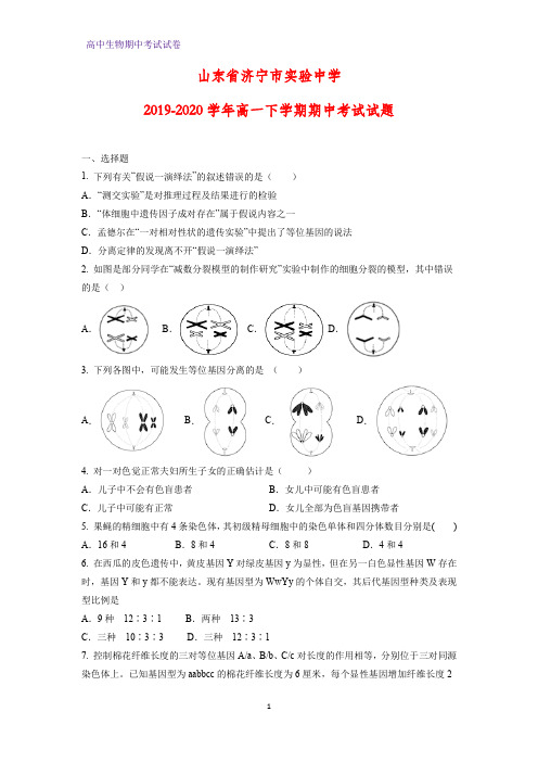 2019-2020学年山东省济宁市实验中学高一下学期期中考试生物试题