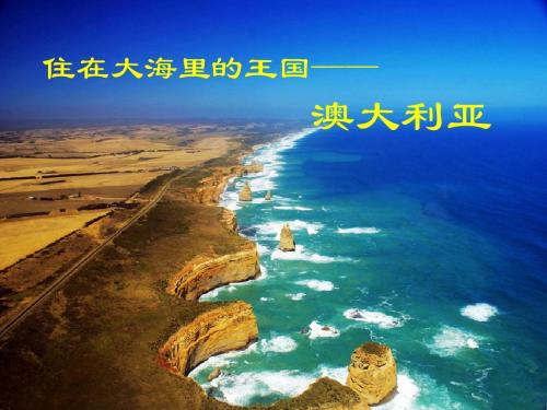 丁丁--墨尔本