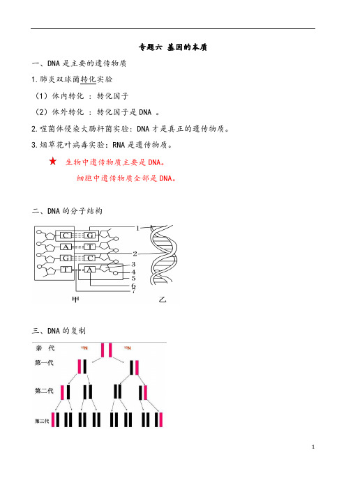 高中生物人教版必修二《基因的本质》知识点总结归纳