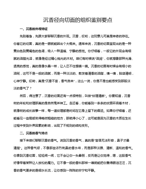 沉香径向切面的组织鉴别要点