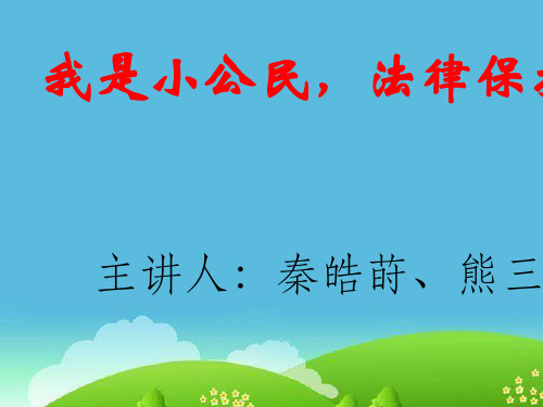 小学生法律知识讲座幻灯片概要PPT课件