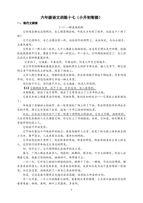 (小升初衔接)六年级语文阅读、文言文训练系列十七(共十八次)含答案