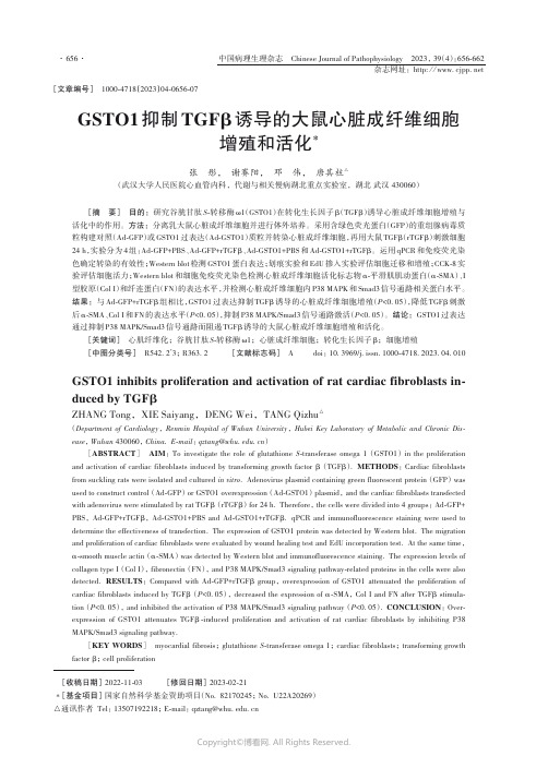 GSTO1抑制TGFβ诱导的大鼠心脏成纤维细胞增殖和活化