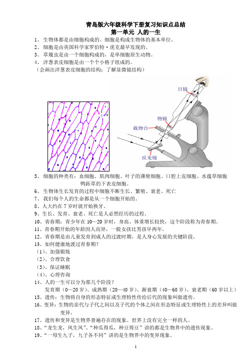 青岛版六年级下册科学(全册)知识点总结及试题 (1) 2