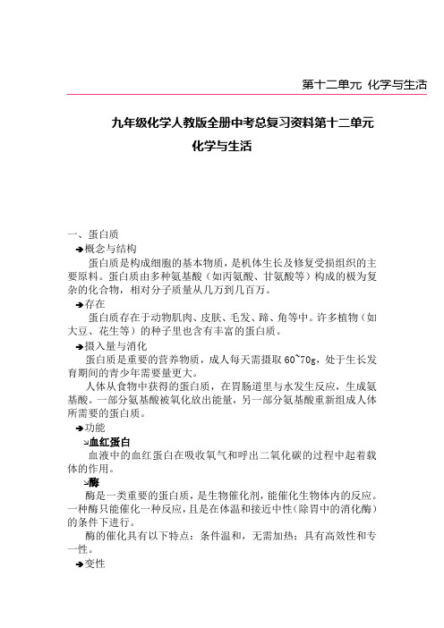 九年级化学人教版全册中考总复习资料第十二单元化学与生活