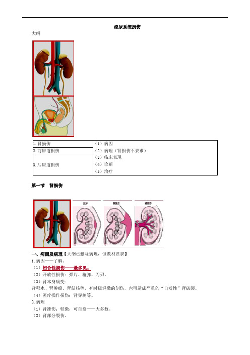 泌尿系统损伤考点总结