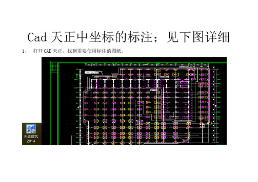 天正中坐标的标注