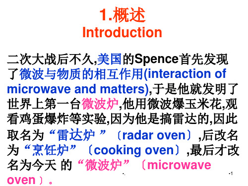 材料与微波的相互作用-文档资料