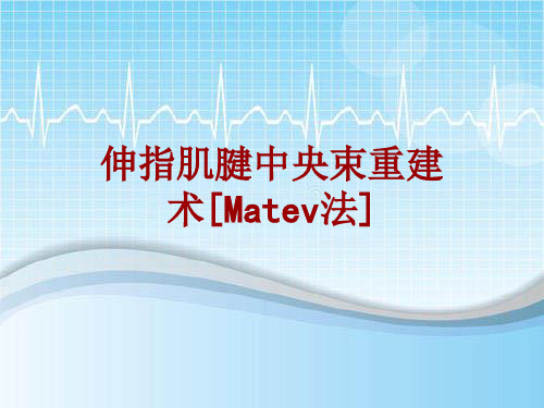 手术讲解模板：伸指肌腱中央束重建术[Matev法]