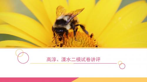 高淳溧水二模试卷