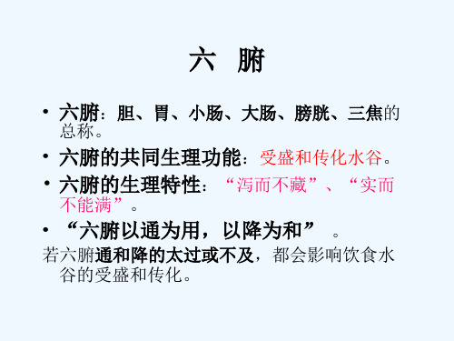 六腑教学课件