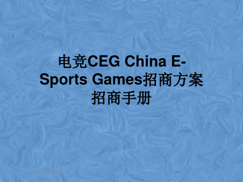 电竞CEG China E-Sports Games招商方案招商手册
