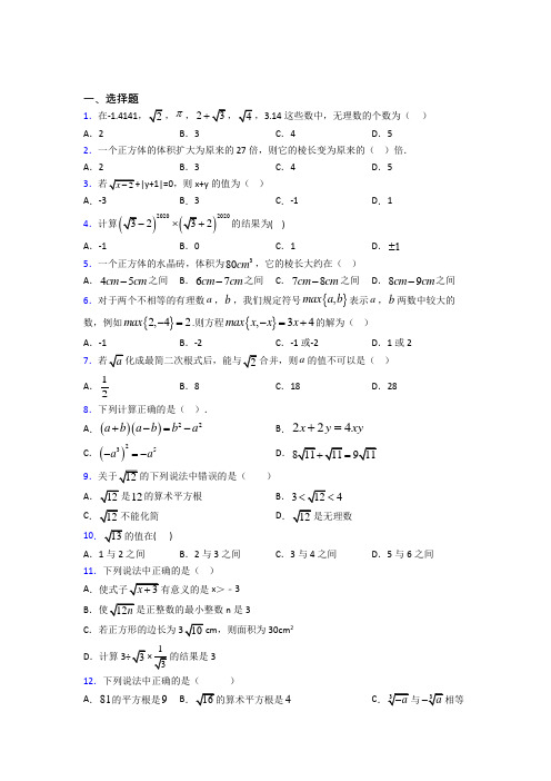 (好题)初中数学八年级数学上册第二单元《实数》测试题(答案解析)(2)