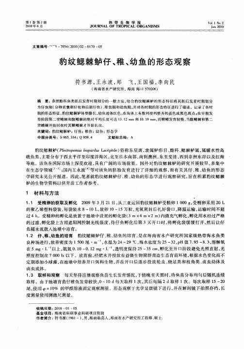 豹纹鳃棘鲈仔、稚、幼鱼的形态观察