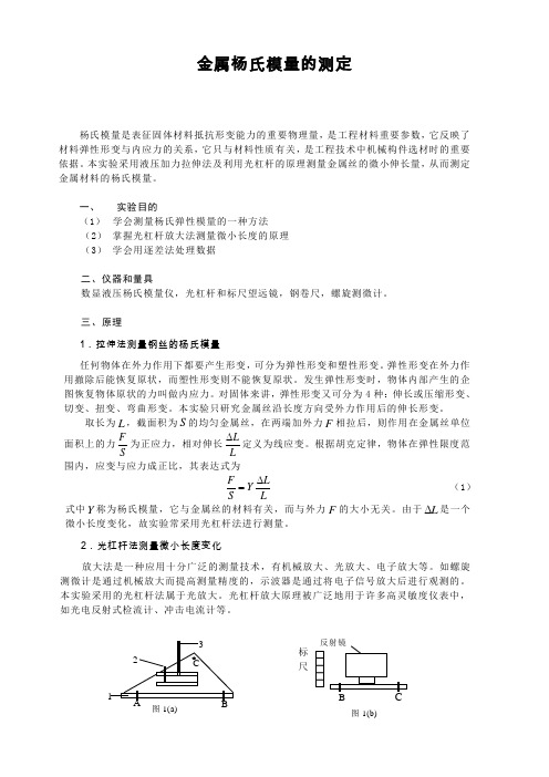 金属杨氏模量的测定