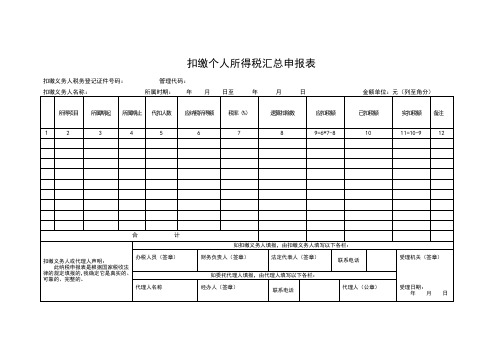 (完整版)扣缴个人所得税汇总申报表