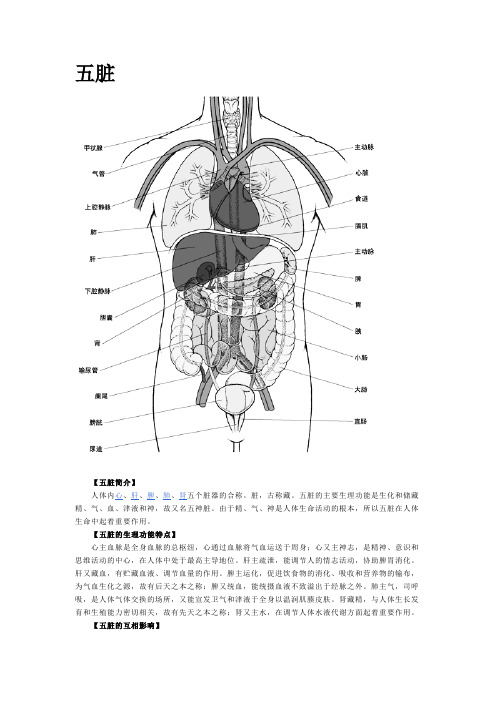 五脏六腑