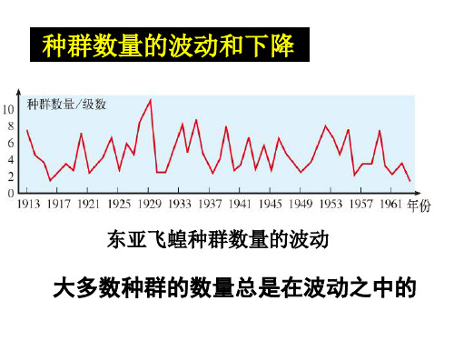 4.3 种群的数量波动及调节