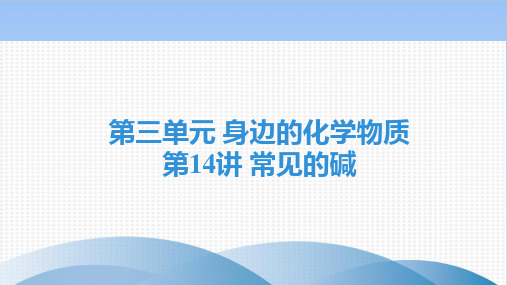 广东中考化学复习PPT常见的碱精品课件