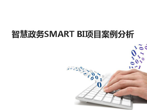 智慧政务SMART BI项目案例分析