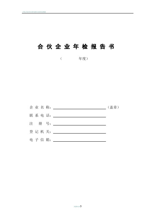 合伙企业年检报告书