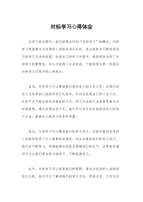 对标学习心得体会