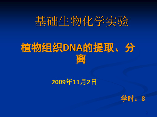 植物组织DNA的提取、分离