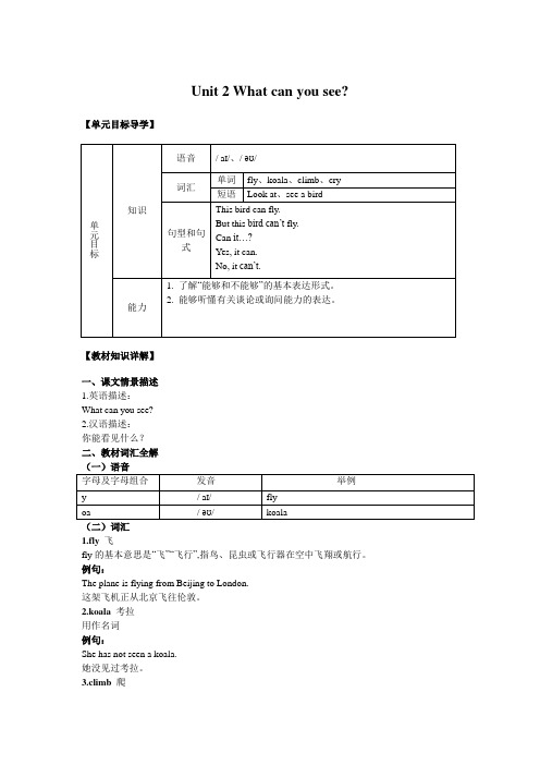 小学英语精讲精析 What can you see (2)