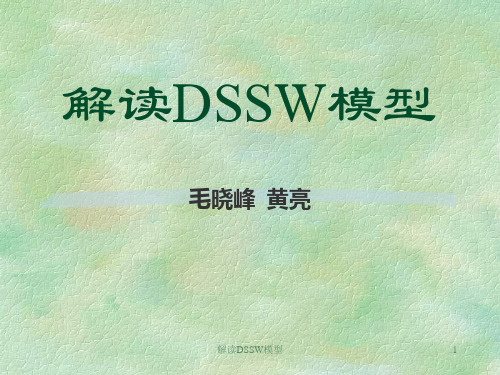 解读DSSW模型(毛晓峰)